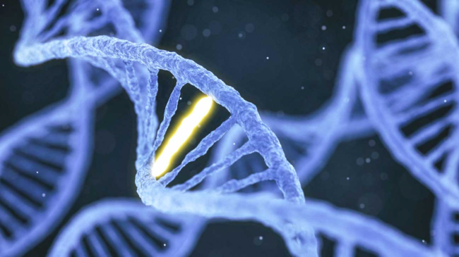 GeneEditingBG2 Gene Editing Image