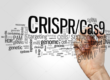 CRISPR/Cas9 image